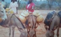 Women-with-their-donkeys-moving-from-place-to-place-seeking-for-water-is-the-order-of-the-day